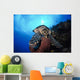 Hawksbill Sea Turtle Eating Wall Decal Design 1