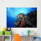 Hawksbill Sea Turtle Eating Wall Decal Design 1