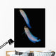 Jawfish Robert's Wall Grand Wall Decal