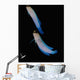 Jawfish Robert's Wall Grand Wall Decal
