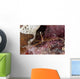 Close-up Arrow Crab Eating Wall Decal