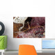 Close-up Arrow Crab Eating Wall Decal
