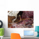 Close-up Arrow Crab Eating Wall Decal