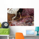 Close-up Arrow Crab Eating Wall Decal