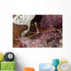 Close-up Arrow Crab Eating Wall Decal