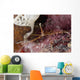 Close-up Arrow Crab Eating Wall Decal