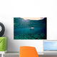 Caribbean Reef Shark Grand Wall Decal Design 2