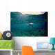 Caribbean Reef Shark Grand Wall Mural
