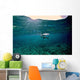 Caribbean Reef Shark Grand Wall Decal Design 2