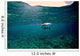 Caribbean Reef Shark Grand Wall Mural