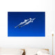 Caribbean Reef Shark Grand Wall Decal Design 1