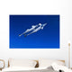Caribbean Reef Shark Grand Wall Decal Design 1