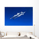 Caribbean Reef Shark Grand Wall Decal Design 1
