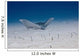 Spotted Eagle Ray Swims Wall Decal Design 2