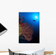 Diver Approaches Beautiful Gorgonian Wall Decal