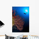 Diver Approaches Beautiful Gorgonian Wall Decal