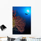 Diver Approaches Beautiful Gorgonian Wall Decal