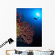 Diver Approaches Beautiful Gorgonian Wall Decal