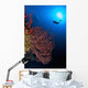 Diver Approaches Beautiful Gorgonian Wall Decal