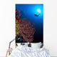 Diver Approaches Beautiful Gorgonian Wall Decal