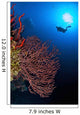 Diver Approaches Beautiful Gorgonian Wall Decal
