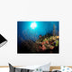 Gorgonian Sea Fans Cayman's Wall Decal