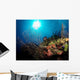 Gorgonian Sea Fans Cayman's Wall Decal