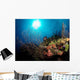 Gorgonian Sea Fans Cayman's Wall Decal