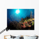 Gorgonian Sea Fans Cayman's Wall Decal