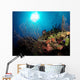 Gorgonian Sea Fans Cayman's Wall Decal