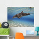 Bottlenose Dolphin Swimming Barrier Wall Decal