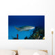 Nurse Shark with Deformed Wall Decal