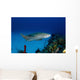 Nurse Shark with Deformed Wall Decal
