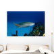 Nurse Shark with Deformed Wall Decal