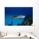 Nurse Shark with Deformed Wall Decal