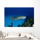 Nurse Shark with Deformed Wall Decal