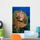 Scorpionfish Hiding Barrel Sponge Wall Decal