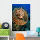 Scorpionfish Hiding Barrel Sponge Wall Decal