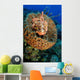 Scorpionfish Hiding Barrel Sponge Wall Decal