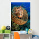 Scorpionfish Hiding Barrel Sponge Wall Decal
