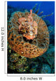 Scorpionfish Hiding Barrel Sponge Wall Decal