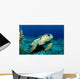 Loggerhead Sea Turtle Nassau Wall Decal