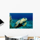 Loggerhead Sea Turtle Nassau Wall Decal