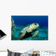 Loggerhead Sea Turtle Nassau Wall Decal