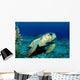 Loggerhead Sea Turtle Nassau Wall Decal