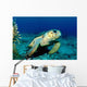 Loggerhead Sea Turtle Nassau Wall Decal