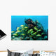 Reefscape with School Striped Wall Decal