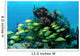 Reefscape with School Striped Wall Decal
