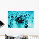 Feeding Frenzy Caribbean Reef Wall Decal