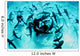 Feeding Frenzy Caribbean Reef Wall Decal